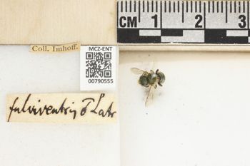 Media type: image;   Entomology 790555 Aspect: Labels